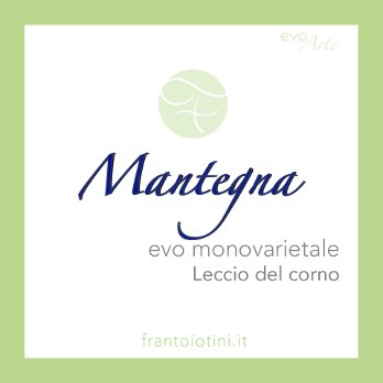 Olio extravergine di oliva Leccio del Corno Mantegna
